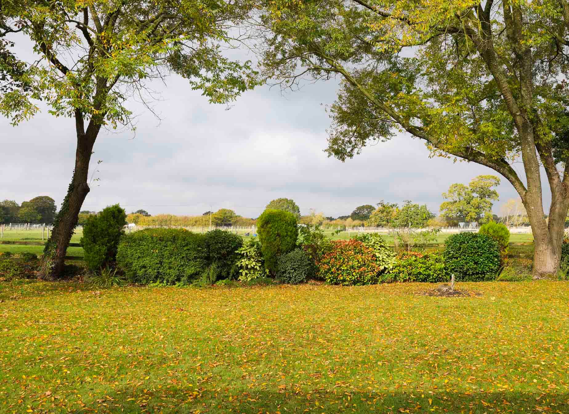 Big gardens and fresh air at Forest Edge, in Pilley village.