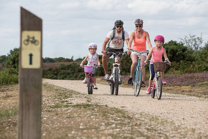 Cycling in the New Forest
